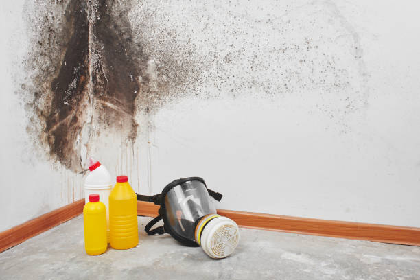 Best Crawl Space Mold Removal  in Meadowood, PA