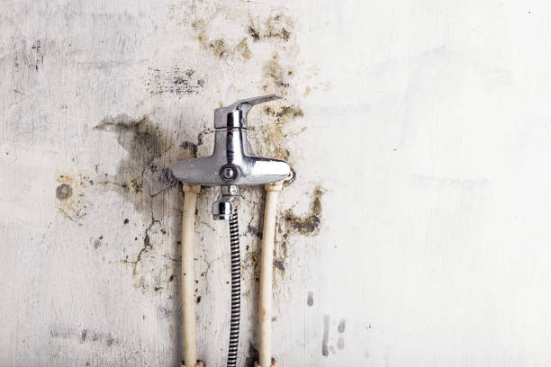 Water Damage Restoration in Meadowood, PA