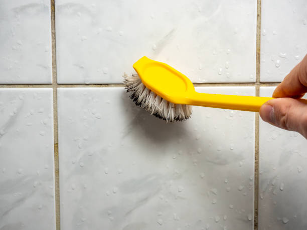 Best Mold Removal Company Near Me  in Meadowood, PA