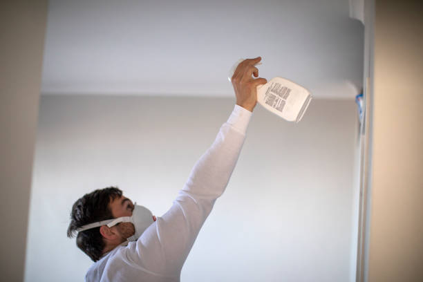 Best Local Mold Removal Service  in Meadowood, PA