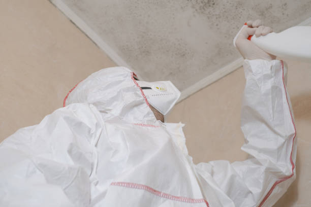 Best Commercial Mold Removal  in Meadowood, PA